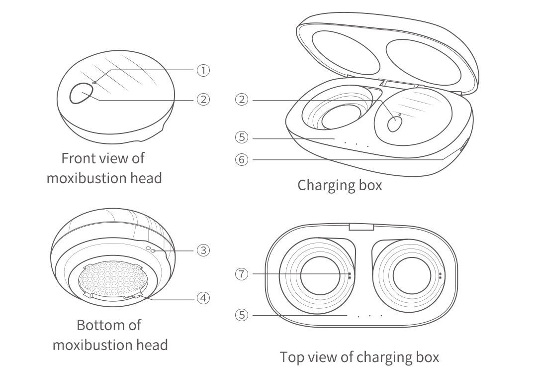 A30 Graphene Smart Moxibustion Device: device and charging case component diagram.