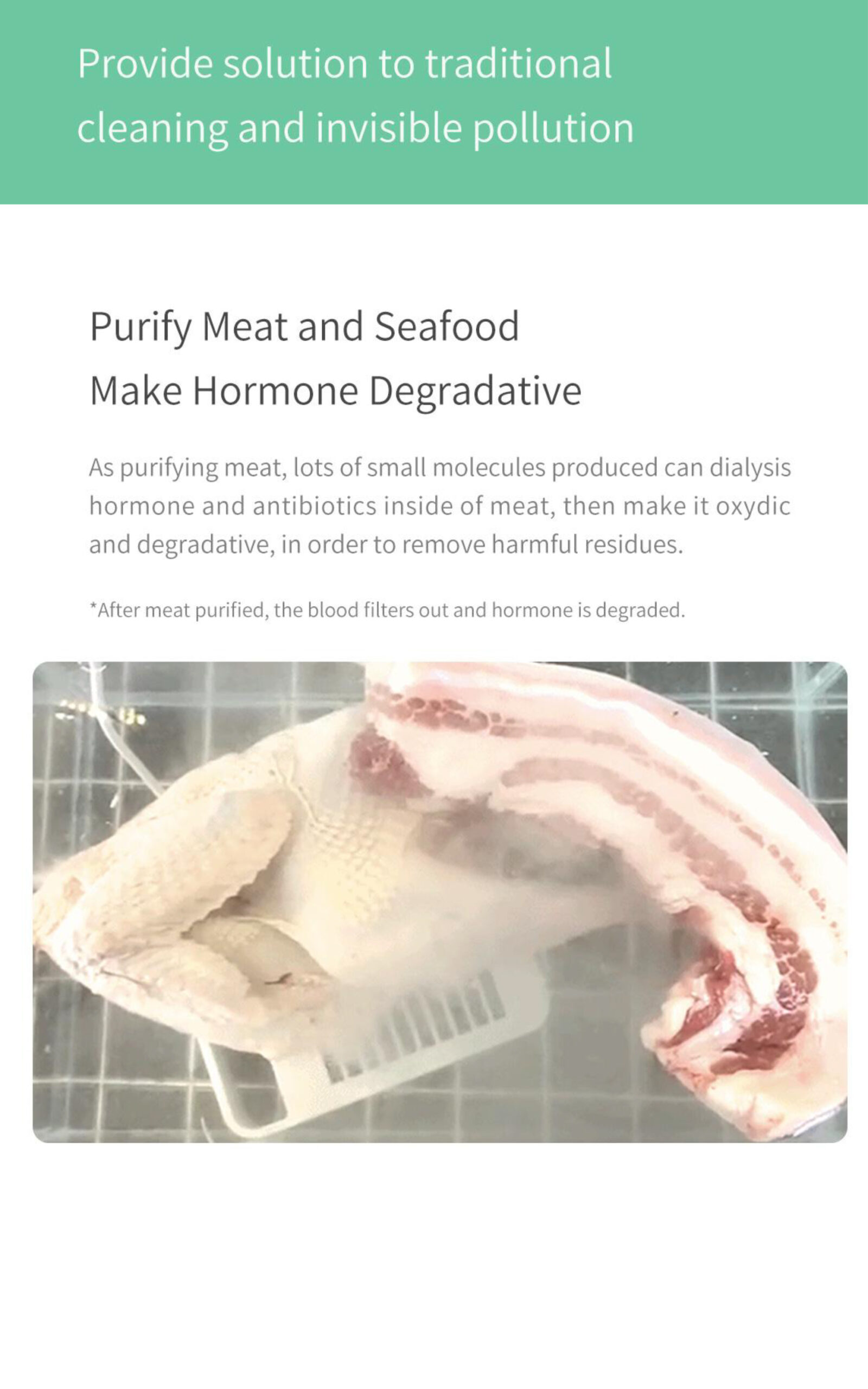 Food purification device meat and seafood treatment information