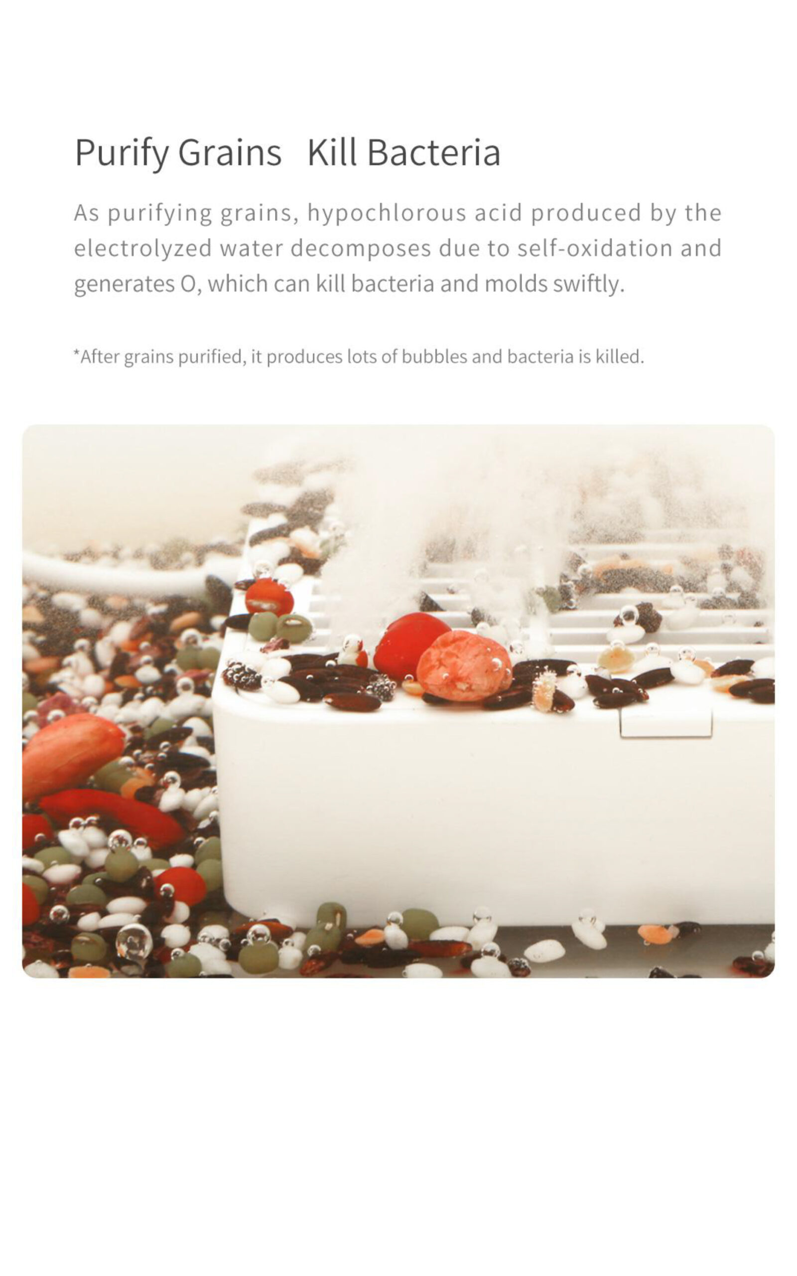 Food purification device grain treatment information